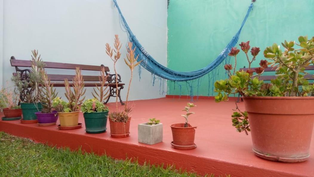 La Plata Hostel エクステリア 写真